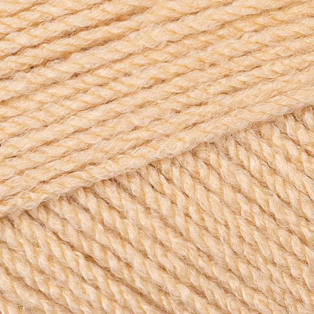 5 x 100g Stylecraft Special DK - Image 100