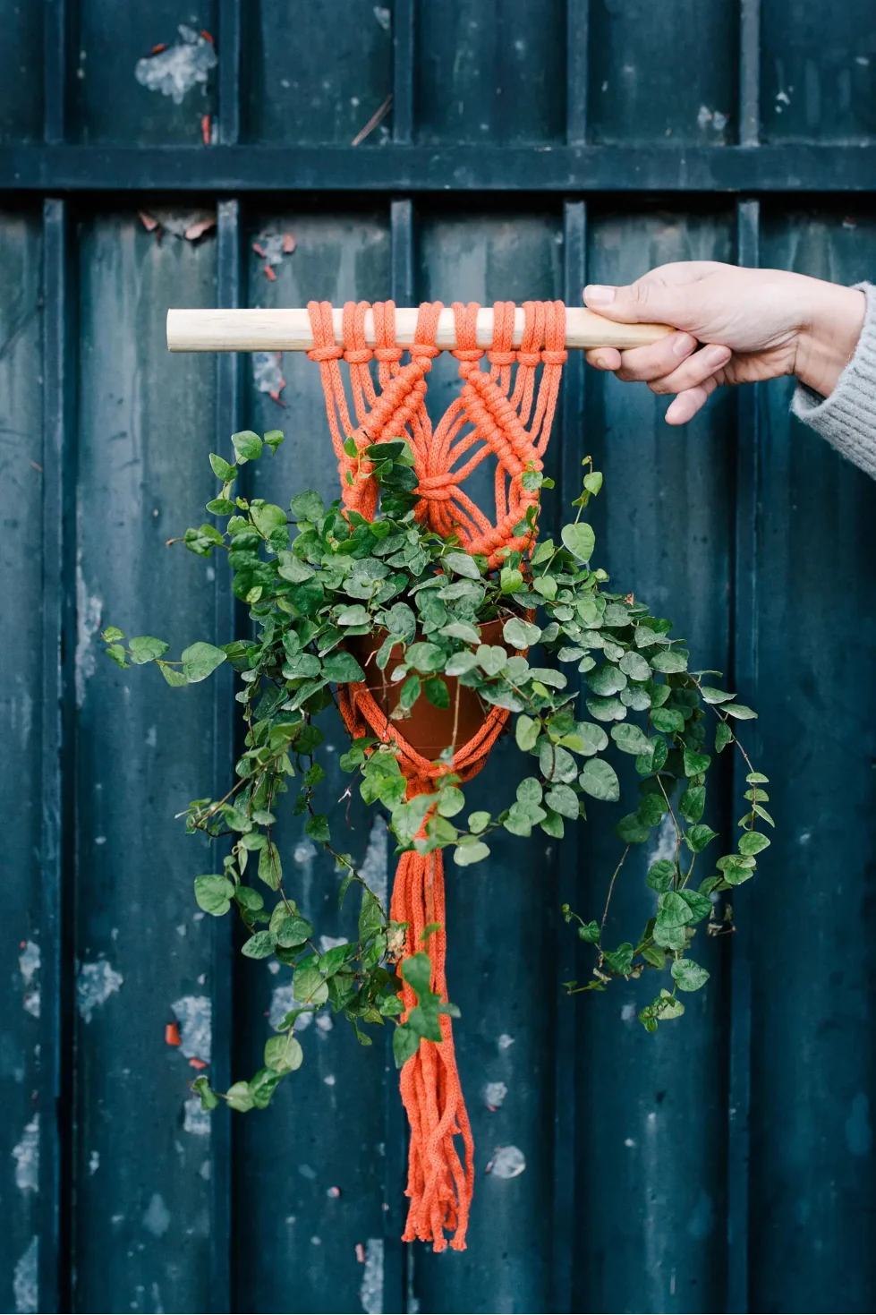 DMC Nova/Eco Vita Recycled Cotton Pattern Book - 15730 - Image 5