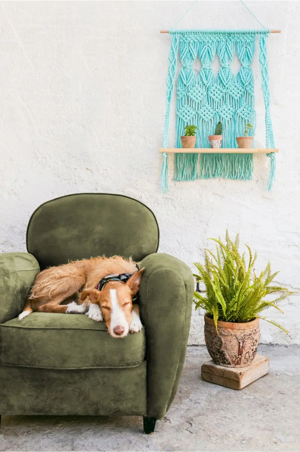 DMC Nova/Eco Vita Recycled Cotton Pattern Book N°3 - Image 5