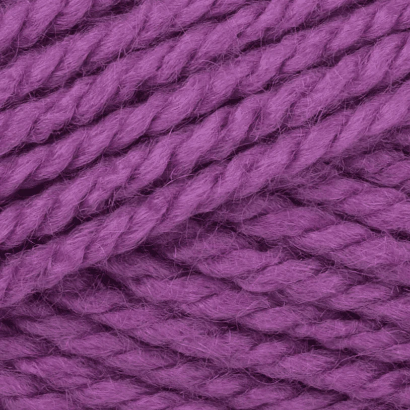 Stylecraft Special Aran 100g - Image 18