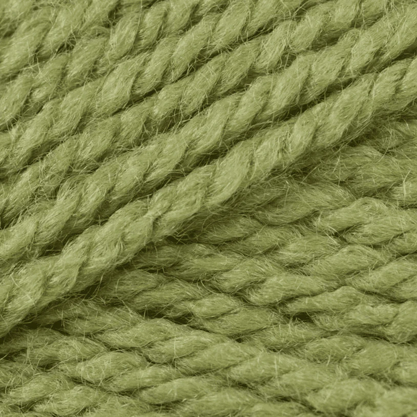 Stylecraft Special Aran 100g - Image 41