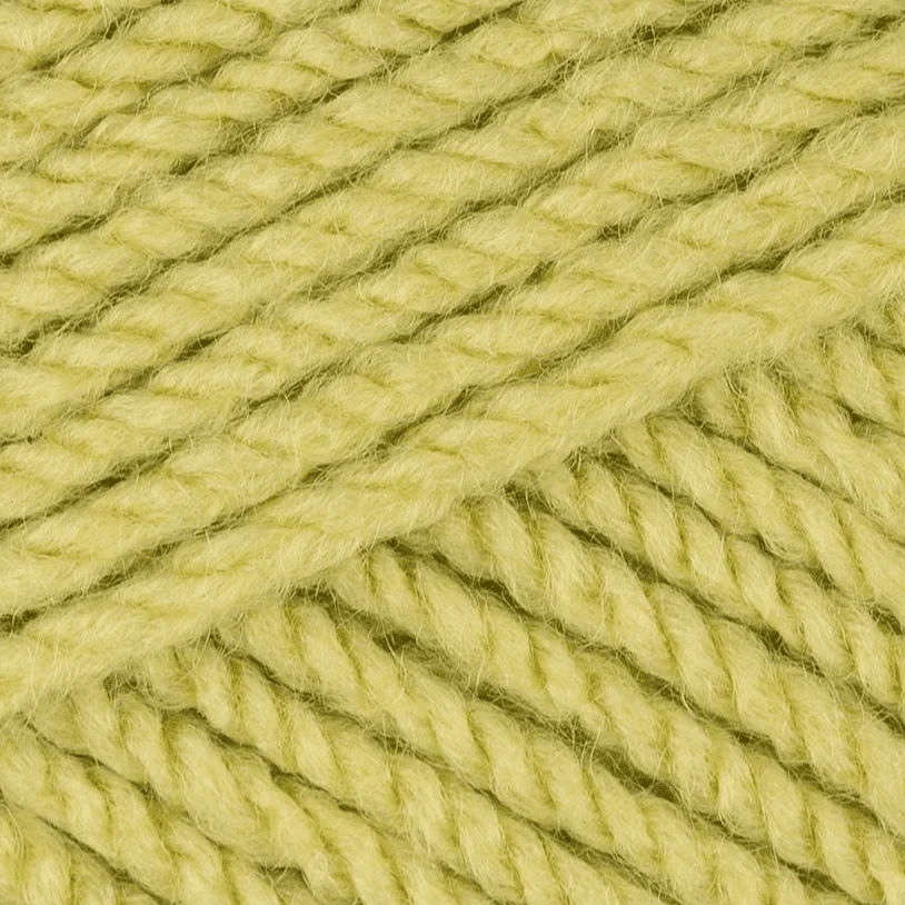 Stylecraft Special Aran 100g - Image 43