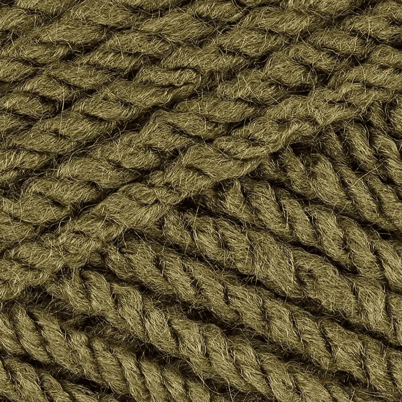 Stylecraft Special Aran 100g - Image 44