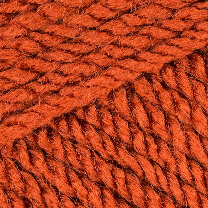 Stylecraft Special Aran 100g - Image 51