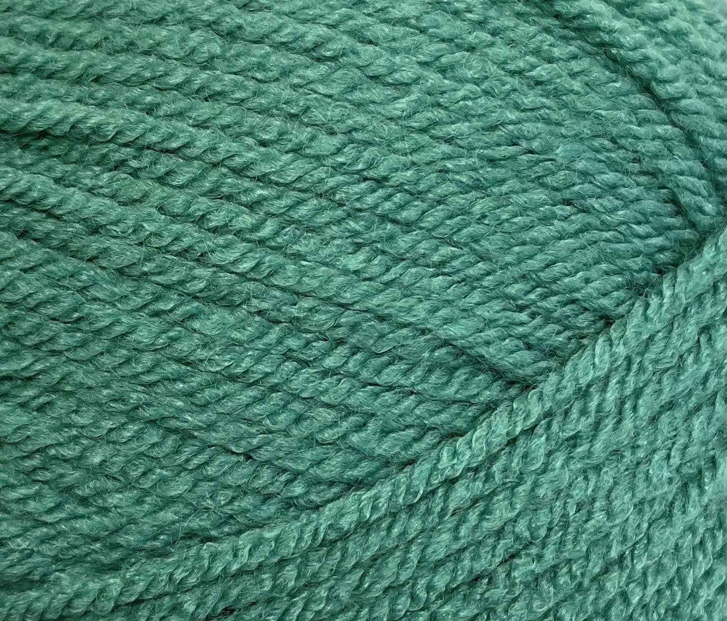 Stylecraft Special Chunky 100g - Image 42